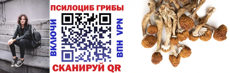 Купить закладки Мыски Галлюциногенные грибы Cubensis